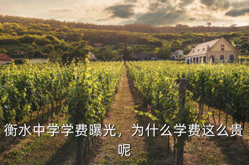 衡水信都中學學費多少錢,衡水中學學費曝光