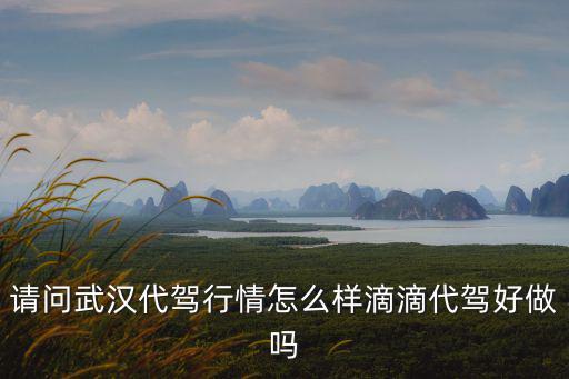 請問武漢代駕行情怎么樣滴滴代駕好做嗎