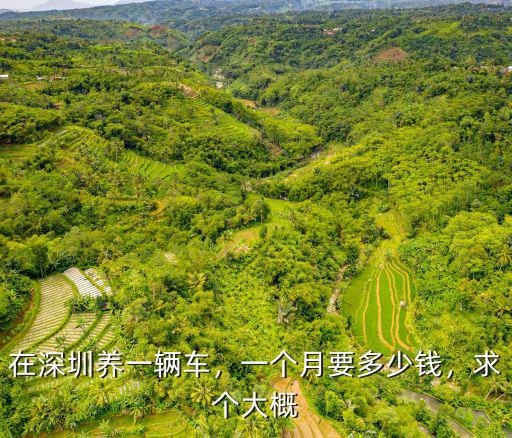 邢臺到深圳多少錢一個月多少錢,一個月要多少錢