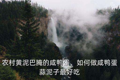 湖北泥鴨蛋怎么做好吃,如何做咸鴨蛋蒜泥子最好吃