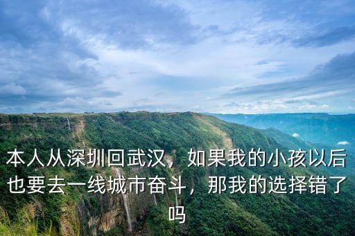 本人從深圳回武漢，如果我的小孩以后也要去一線城市奮斗，那我的選擇錯(cuò)了嗎