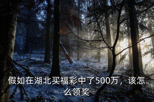 假如在湖北買福彩中了500萬，該怎么領(lǐng)獎