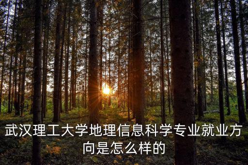 武漢理工大學地理信息科學專業就業方向是怎么樣的