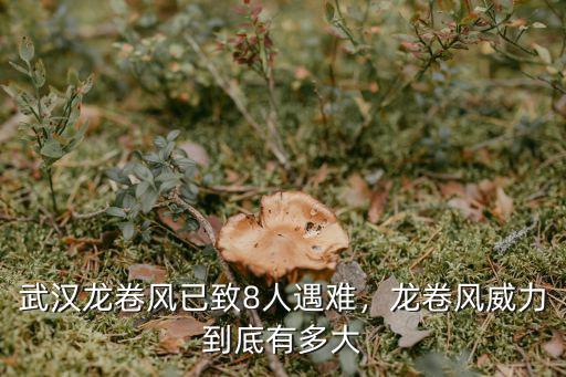 武漢龍卷風已致8人遇難，龍卷風威力到底有多大