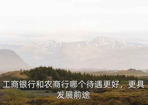 隨州農(nóng)商行柜員怎么樣,在鄉(xiāng)鎮(zhèn)農(nóng)商行做柜員工作