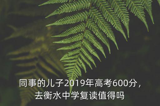 同事的兒子2019年高考600分，去衡水中學復讀值得嗎