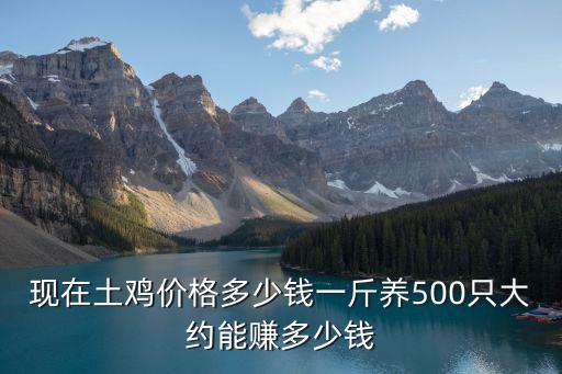 現(xiàn)在土雞價格多少錢一斤養(yǎng)500只大約能賺多少錢