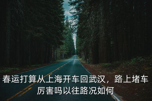 春運打算從上海開車回武漢，路上堵車厲害嗎以往路況如何