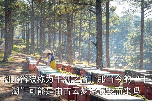 湖北千湖之省怎么來的,千湖之省的湖北