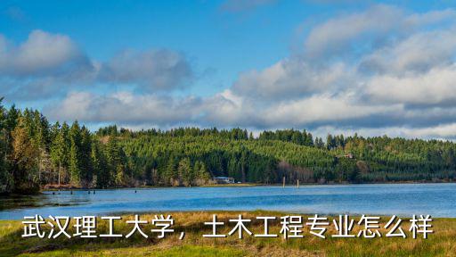 武漢理工大學，土木工程專業(yè)怎么樣