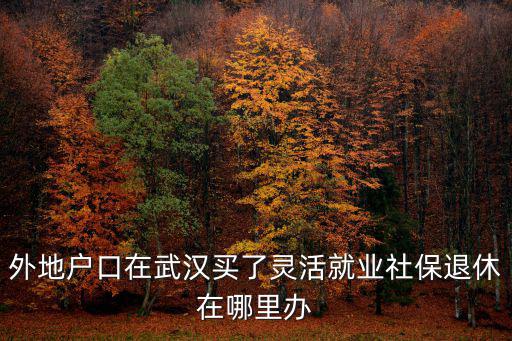 不是武漢戶口退休怎么辦,把外地戶口轉到武漢