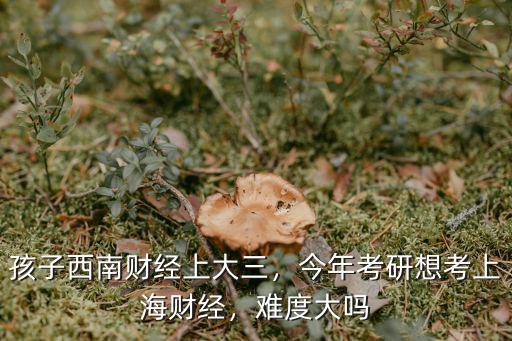 河北考上海財經(jīng)要多少名,今年考研想考上海財經(jīng)