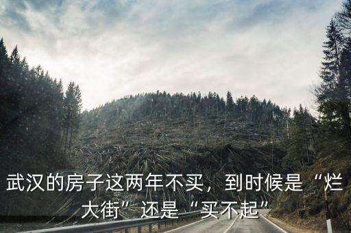 武漢的房子這兩年不買，到時候是“爛大街”還是“買不起”