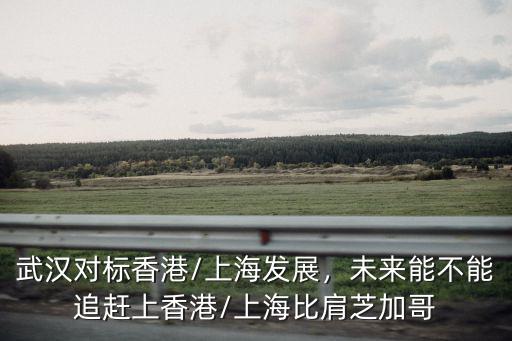 武漢怎么追趕上海,武漢對標香港/上海發展