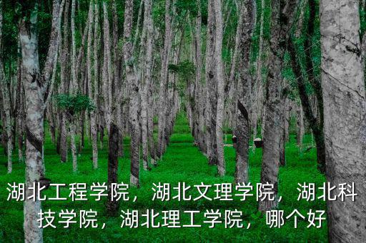 湖北文理學院理工學院怎么查成績,湖北文理學院