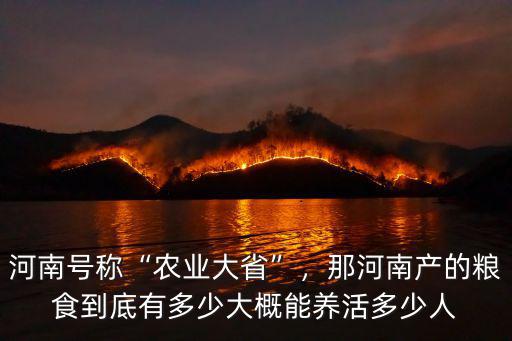 河南號稱“農業大省”，那河南產的糧食到底有多少大概能養活多少人