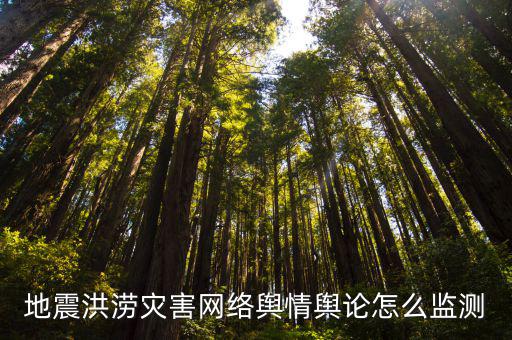 地震洪澇災害網絡輿情輿論怎么監測