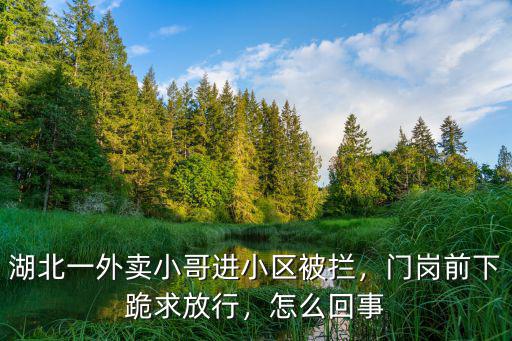 湖北一外賣小哥進小區被攔，門崗前下跪求放行，怎么回事