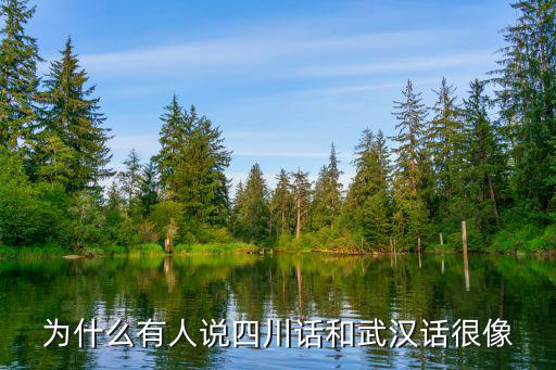 武漢話堅持到底怎么說,不會說武漢話