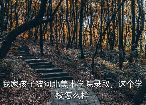 我家孩子被河北美術學院錄取，這個學校怎么樣