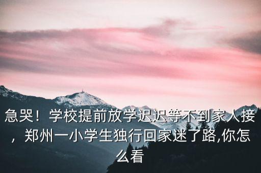 小孩回家上學怎么離開鄭州,兩個女兒在鄭州上學