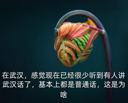 在武漢，感覺現在已經很少聽到有人講武漢話了，基本上都是普通話，這是為啥