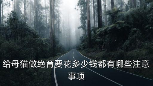 邢臺公貓絕育多少錢,公貓絕育多少錢