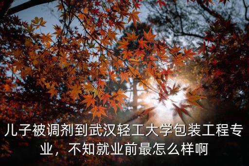武漢輕工大學(xué)藝術(shù)類專業(yè)怎么樣,報(bào)考武漢紡織大學(xué)怎么樣