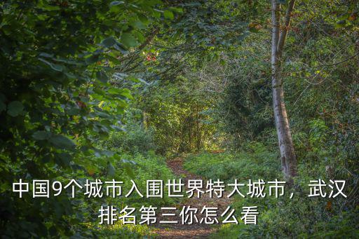 怎么看武漢人口,武漢排名第三你怎么看