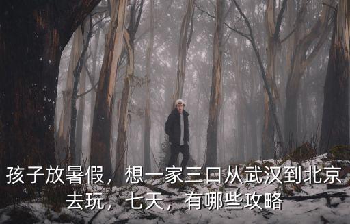 孩子放暑假，想一家三口從武漢到北京去玩，七天，有哪些攻略