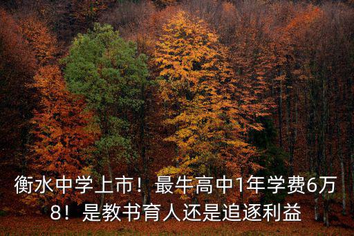 合肥衡水高中學費多少,衡水中學學費是多少