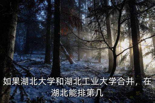 如果湖北大學和湖北工業(yè)大學合并，在湖北能排第幾