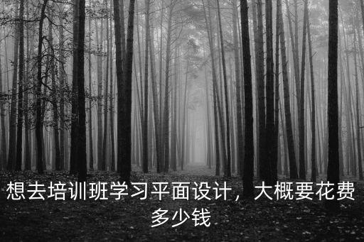 想去培訓班學習平面設計，大概要花費多少錢