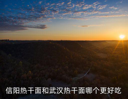 信陽熱干面和武漢熱干面哪個更好吃