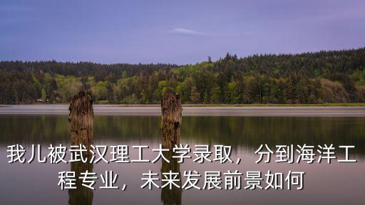 我兒被武漢理工大學錄取，分到海洋工程專業(yè)，未來發(fā)展前景如何