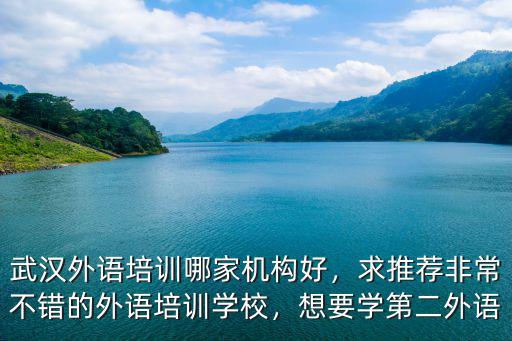 武漢外語培訓哪家機構好，求推薦非常不錯的外語培訓學校，想要學第二外語