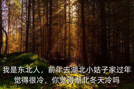 我是東北人，前年去湖北小姑子家過年覺得很冷，你覺得湖北冬天冷嗎