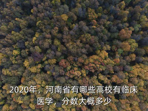 河南醫科大專臨床醫學多少分,河南省有哪些高校有臨床醫學