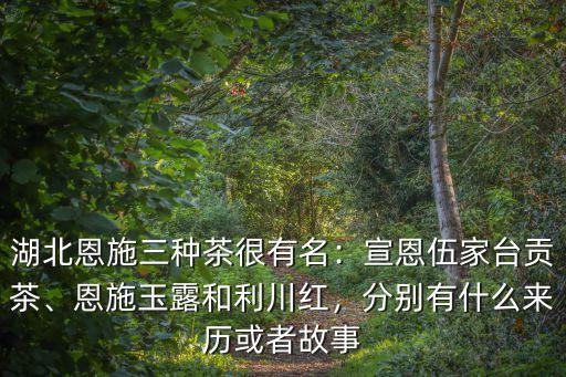 恩施利川茶葉怎么樣,恩施茶葉怎么保存