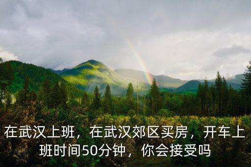 在武漢上班，在武漢郊區買房，開車上班時間50分鐘，你會接受嗎