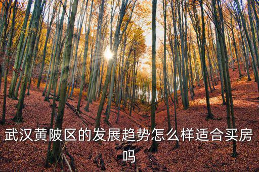武漢黃陂區(qū)的發(fā)展趨勢怎么樣適合買房嗎