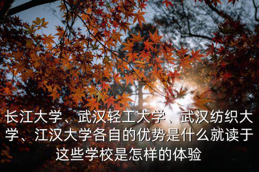 長江大學、武漢輕工大學、武漢紡織大學、江漢大學各自的優勢是什么就讀于這些學校是怎樣的體驗