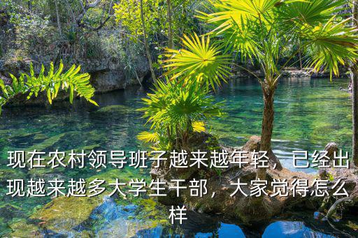 黃岡大學生到村任職怎么樣,城市大學生到農村當村官