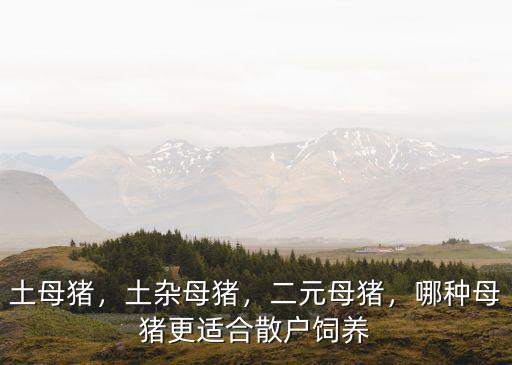 土母豬，土雜母豬，二元母豬，哪種母豬更適合散戶飼養