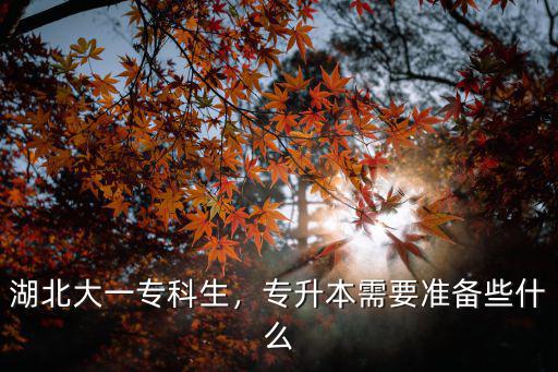 湖北大一?？粕瑢Ｉ拘枰獪蕚湫┦裁? class=