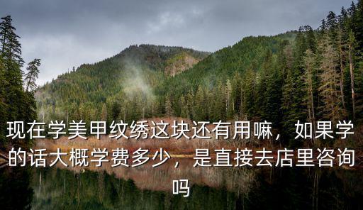 現在學美甲紋繡這塊還有用嘛，如果學的話大概學費多少，是直接去店里咨詢嗎