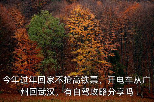 今年過(guò)年回家不搶高鐵票，開(kāi)電車(chē)從廣州回武漢，有自駕攻略分享嗎