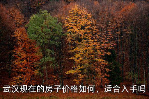 武漢現在的房子價格如何，適合入手嗎