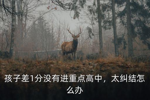 孩子差1分沒有進重點高中，太糾結怎么辦