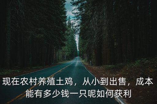 現在農村養殖土雞，從小到出售，成本能有多少錢一只呢如何獲利